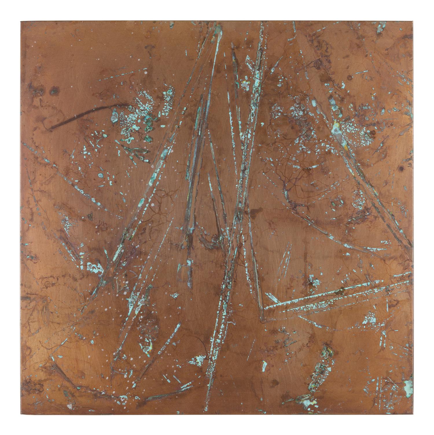 From Forest Mapping Series