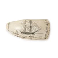 Scrimshaw whale's tooth dated "1878"