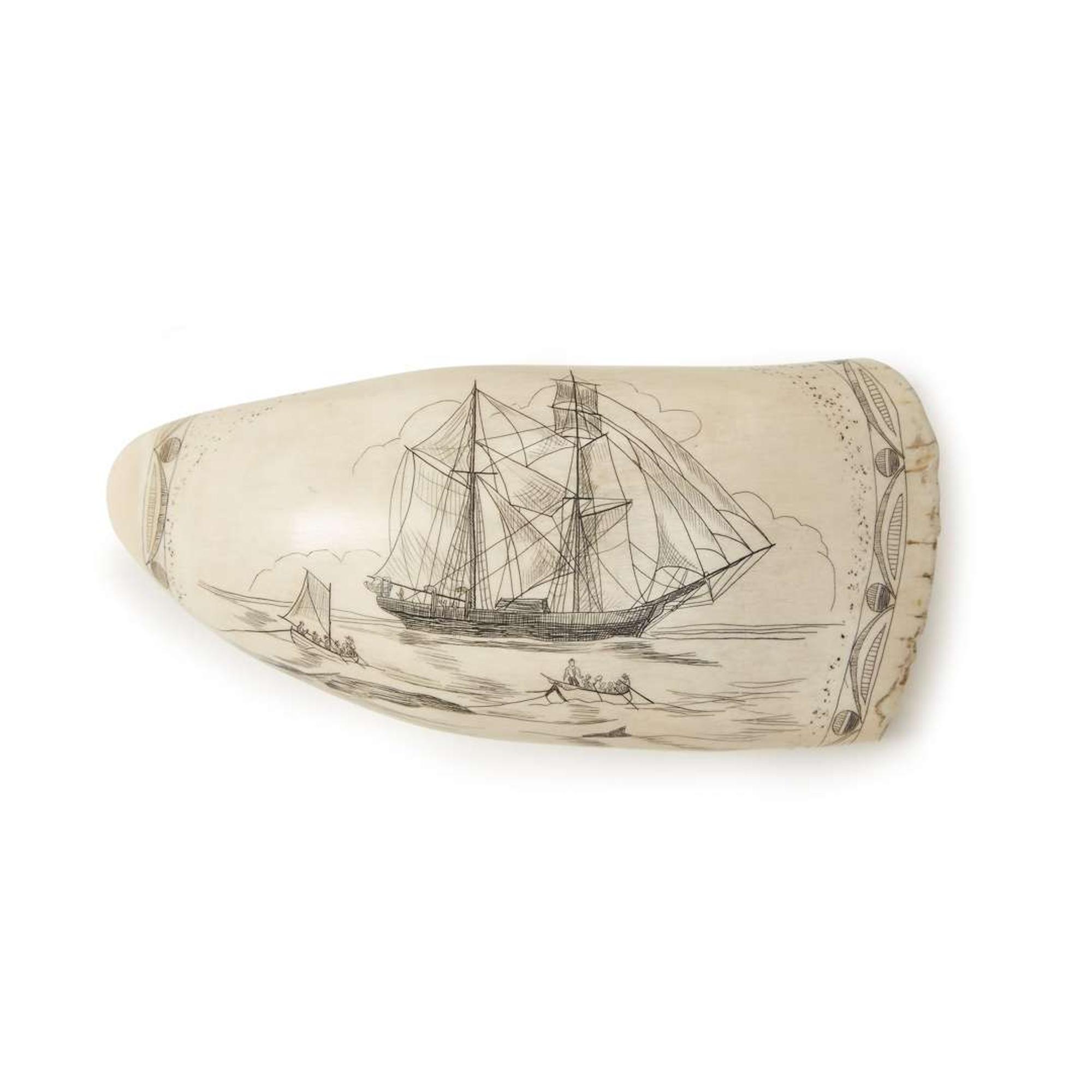 Scrimshaw whale's tooth dated "1878"
