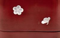 A Chinese Red Lacquered Octafoil Flori-Form Box