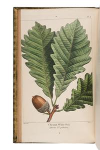 MICHAUX, François André (1770-1855) and Thomas NUTTALL (1786-1859). The North American Sylva; or, A Description of the Forest Trees of the United States, Canada and Nova Scotia . Philadelphia: Robert Smith, 1852-1853.