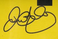 A Rory McIlroy Single Signed Autograph 2014 PGA Championship Flag (JSA Authenticated)