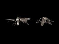 Two Silver Articulated Models of Insects
