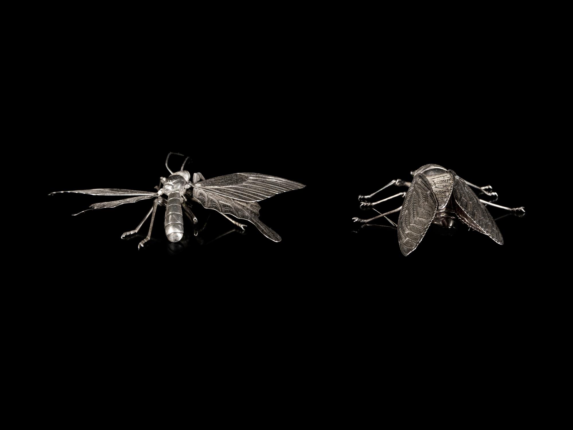 Two Silver Articulated Models of Insects