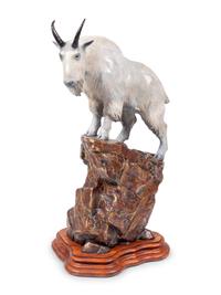 Mountain Sheep