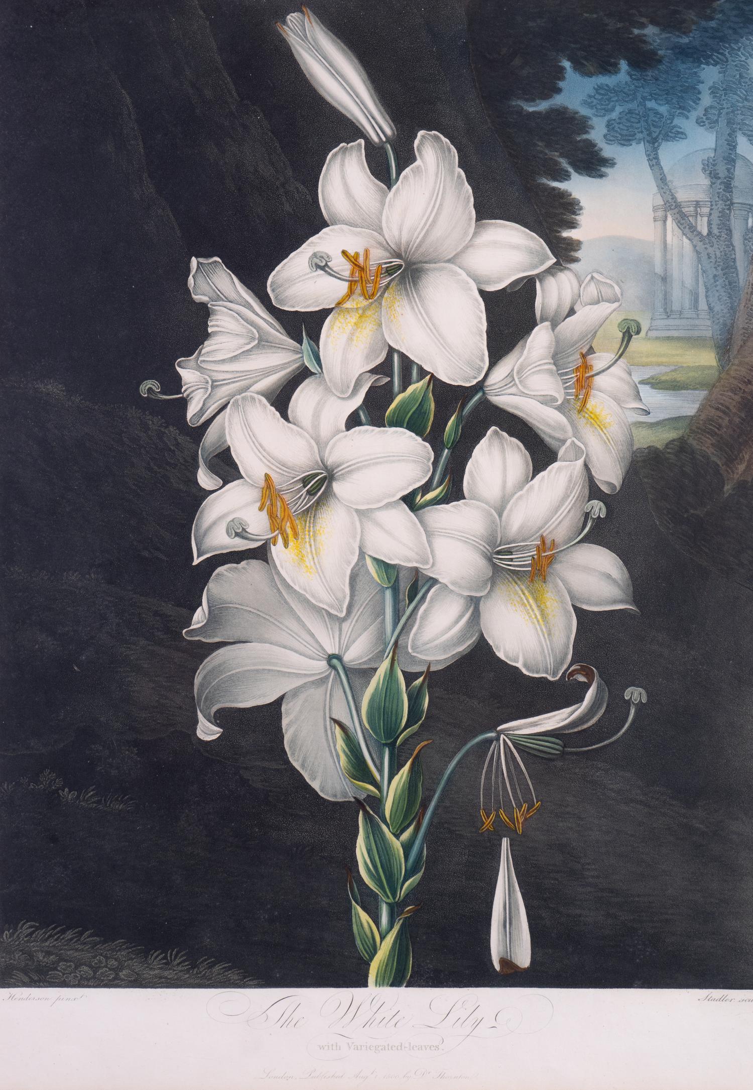 Three English Mezzotints — 19TH CENTURY