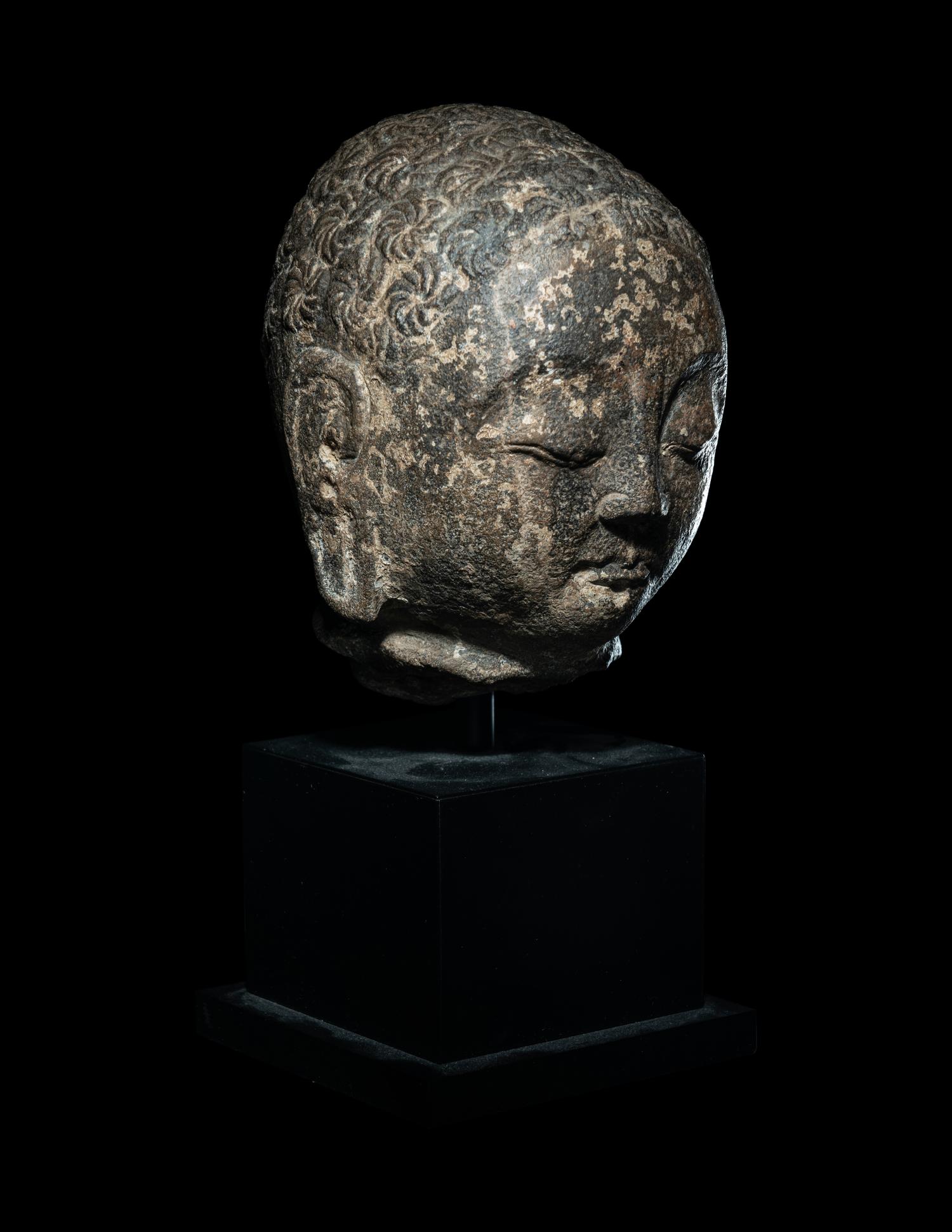 A Limestone Head of Buddha