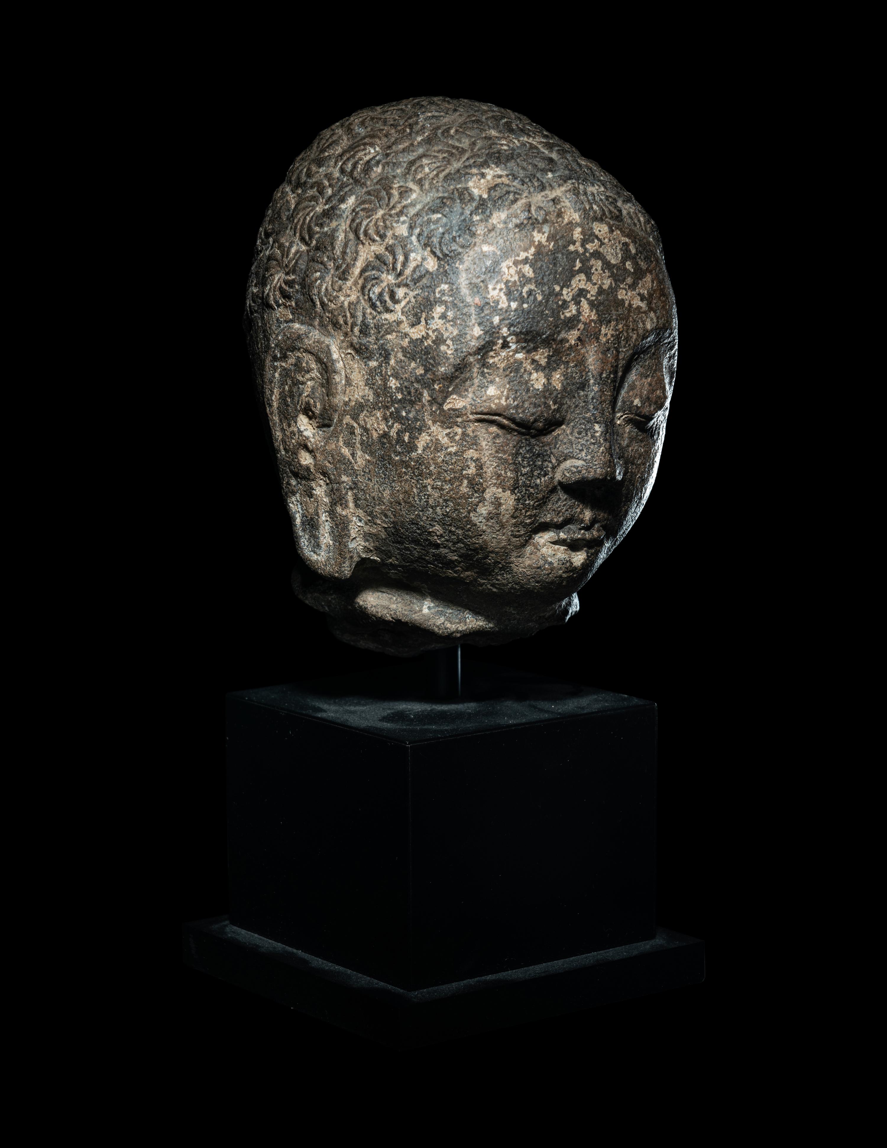A Limestone Head of Buddha