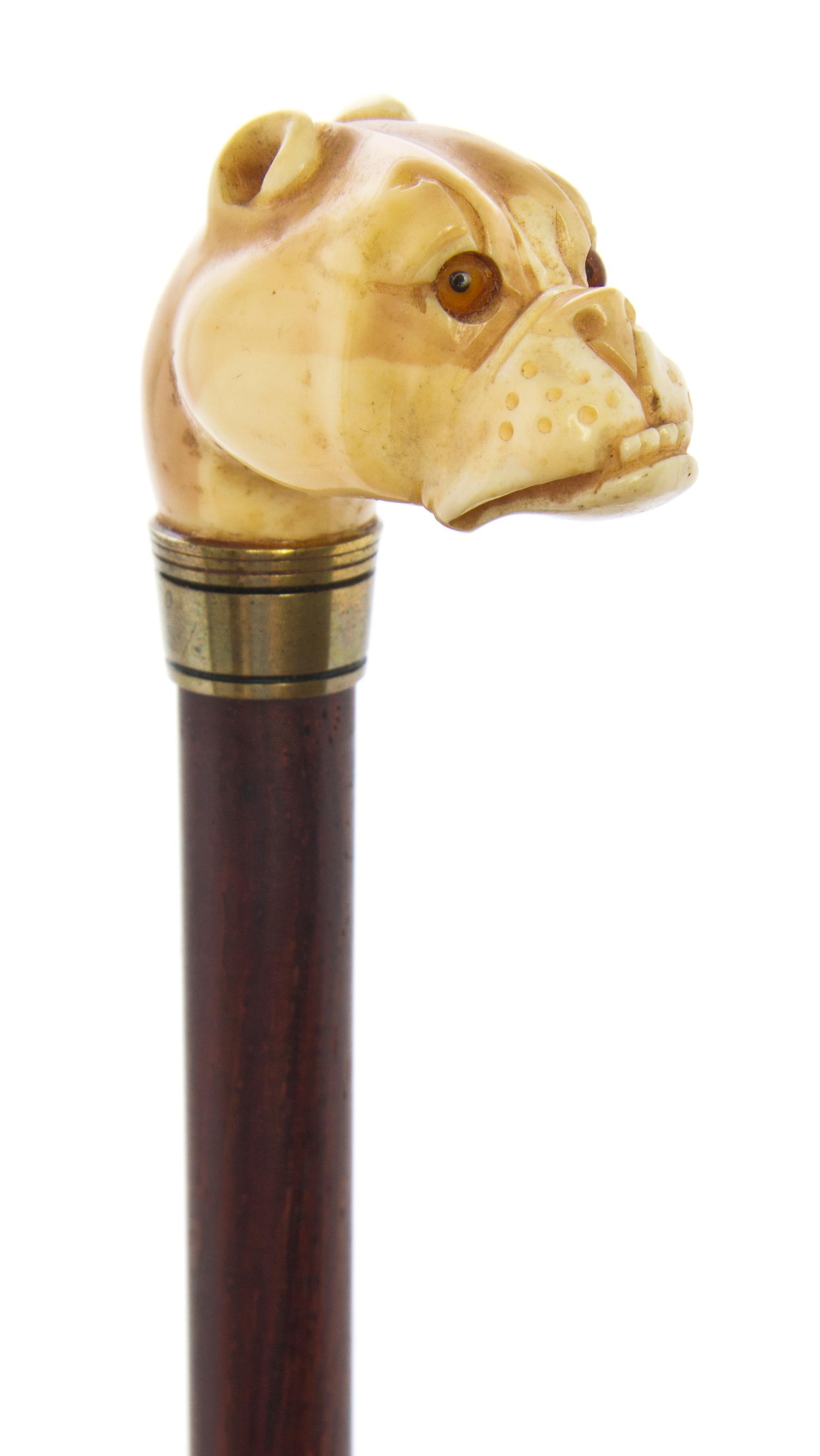 An English Ivory Handled Cane, Length of handle 2 x length overall 25 1/2 inches.