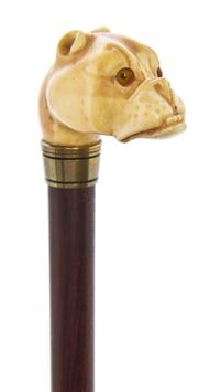 An English Ivory Handled Cane, Length of handle 2 x length overall 25 1/2 inches.