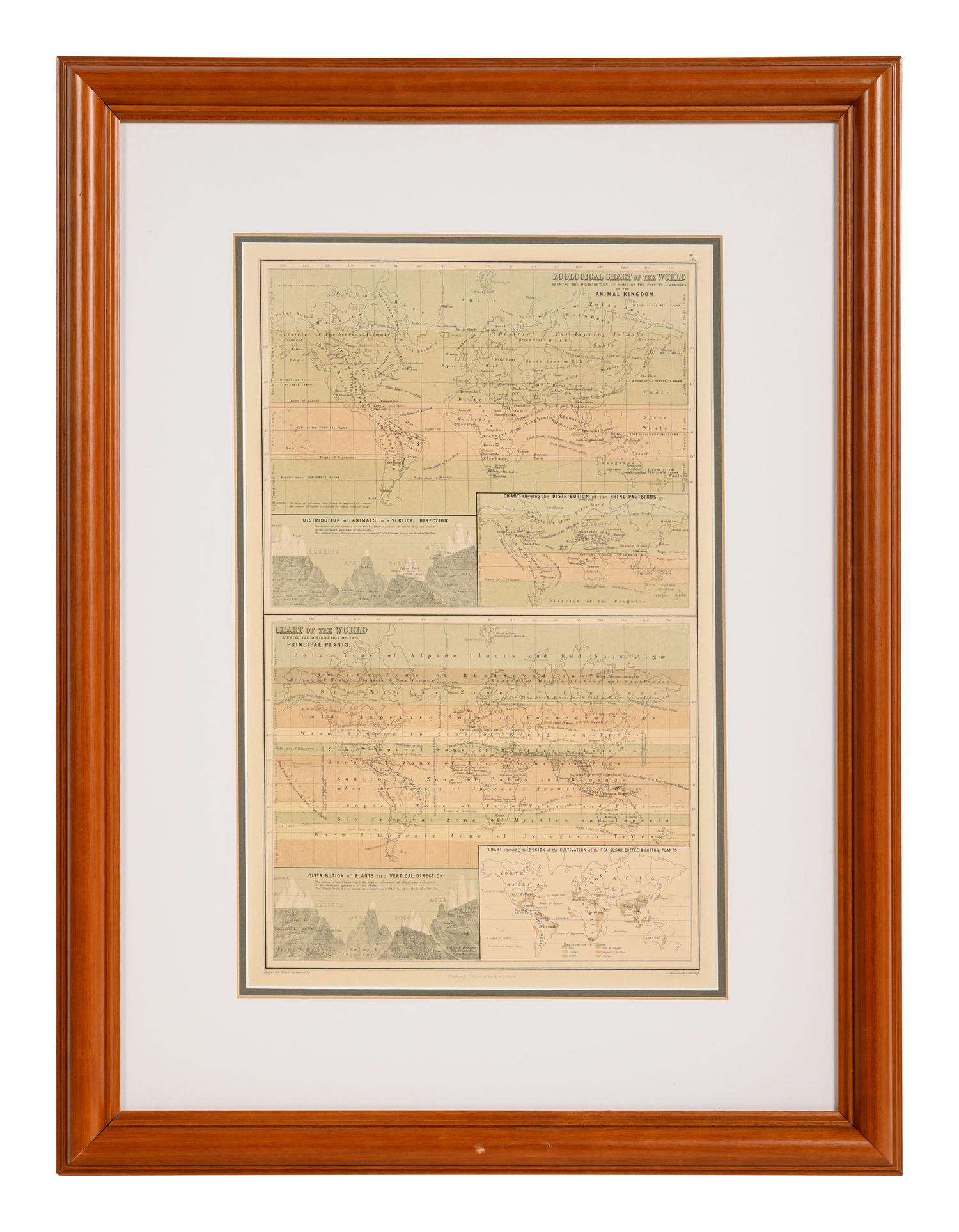 A Group of 11 19th and 20th century maps, comprising: