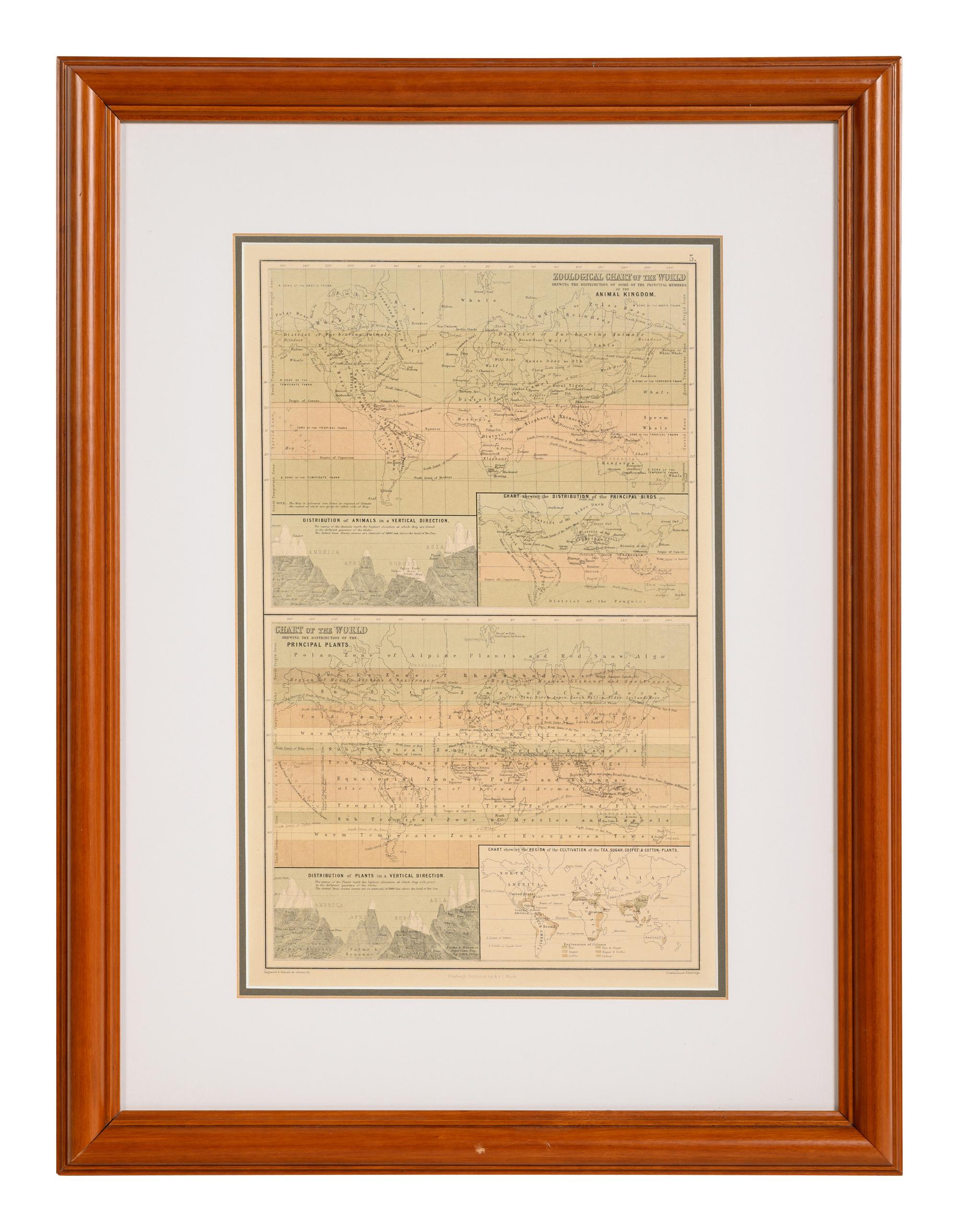 A Group of 11 19th and 20th century maps, comprising:
