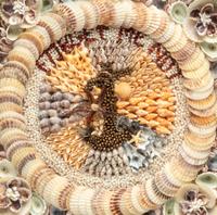 A Nautical Shellwork Sailor's Valentine