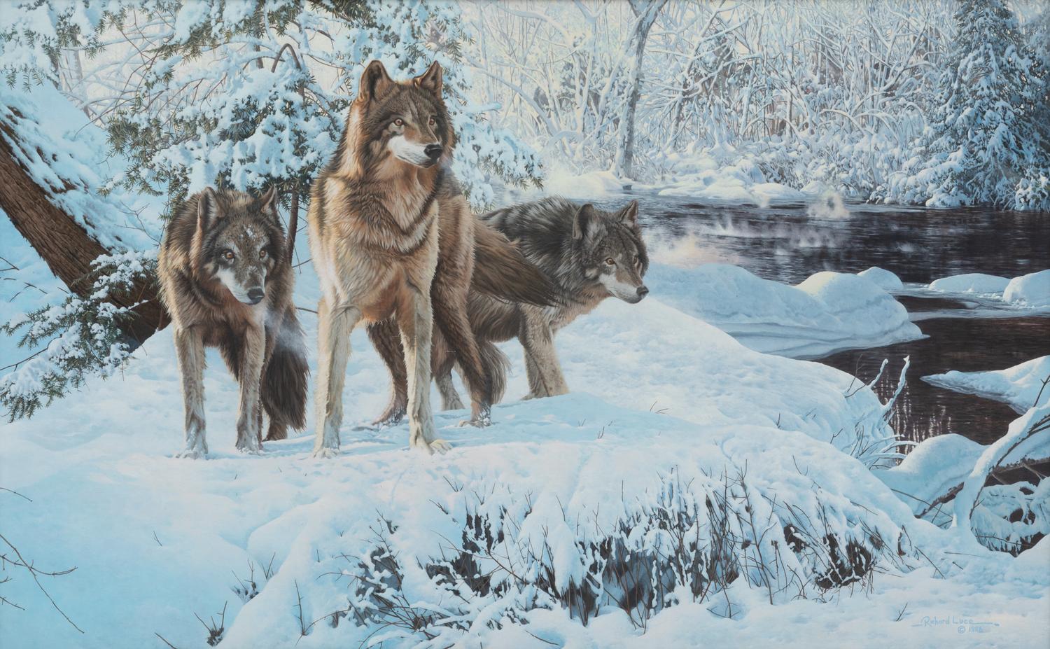 Warriors of the North Woods