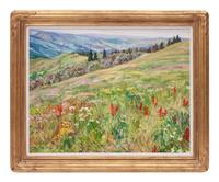 Wild Flowers on Vail Mountain