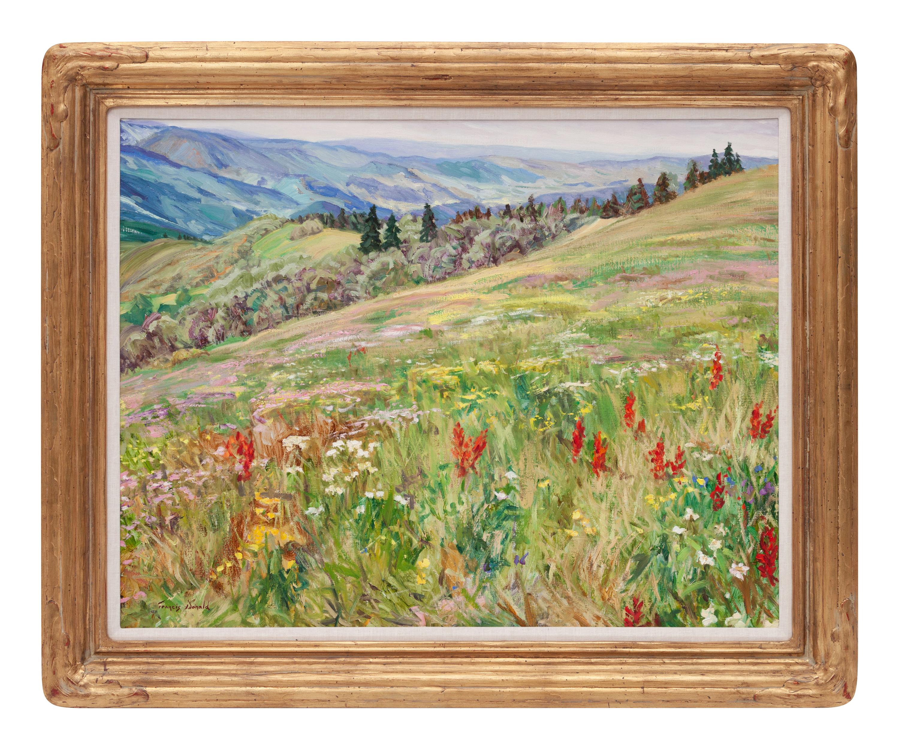 Wild Flowers on Vail Mountain