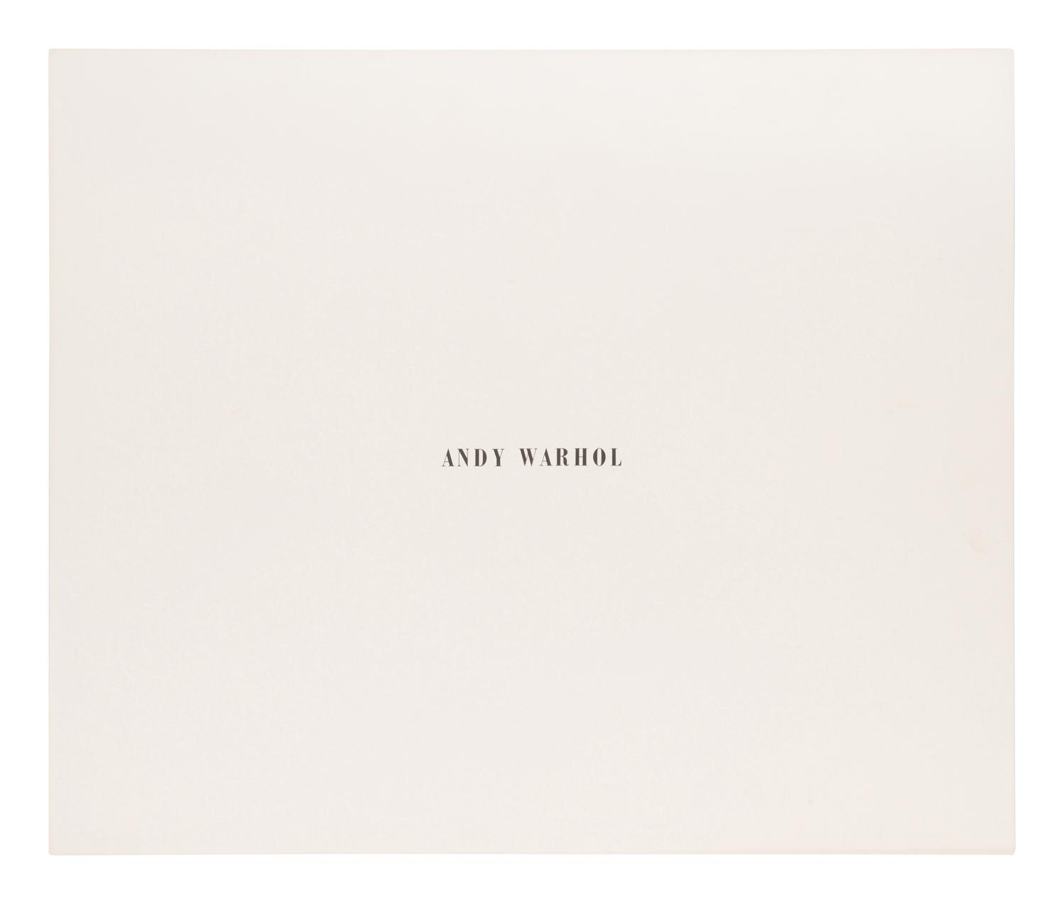 Birmingham Race Riot (from Ten Works x Ten Painters)