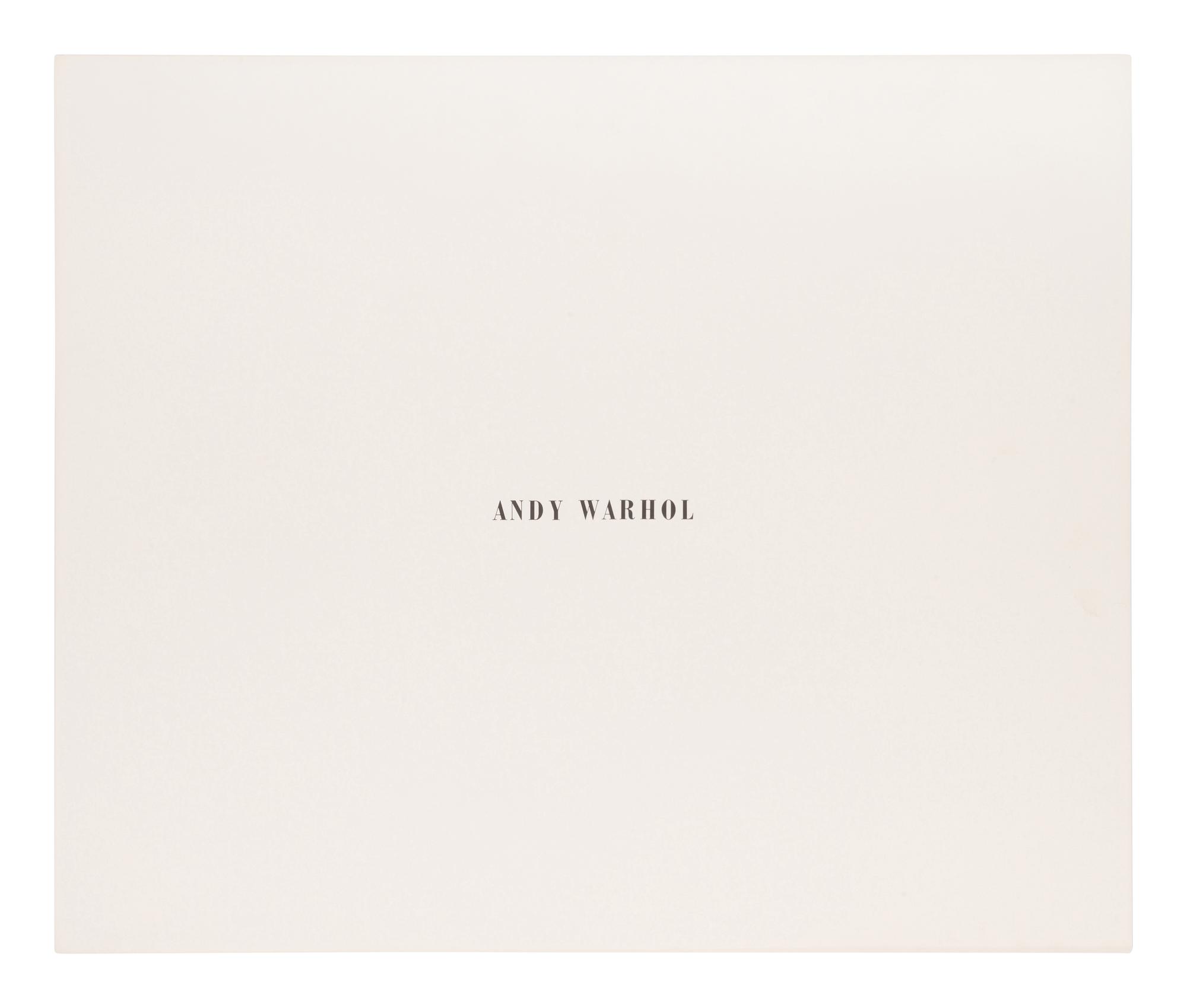 Birmingham Race Riot (from Ten Works x Ten Painters)