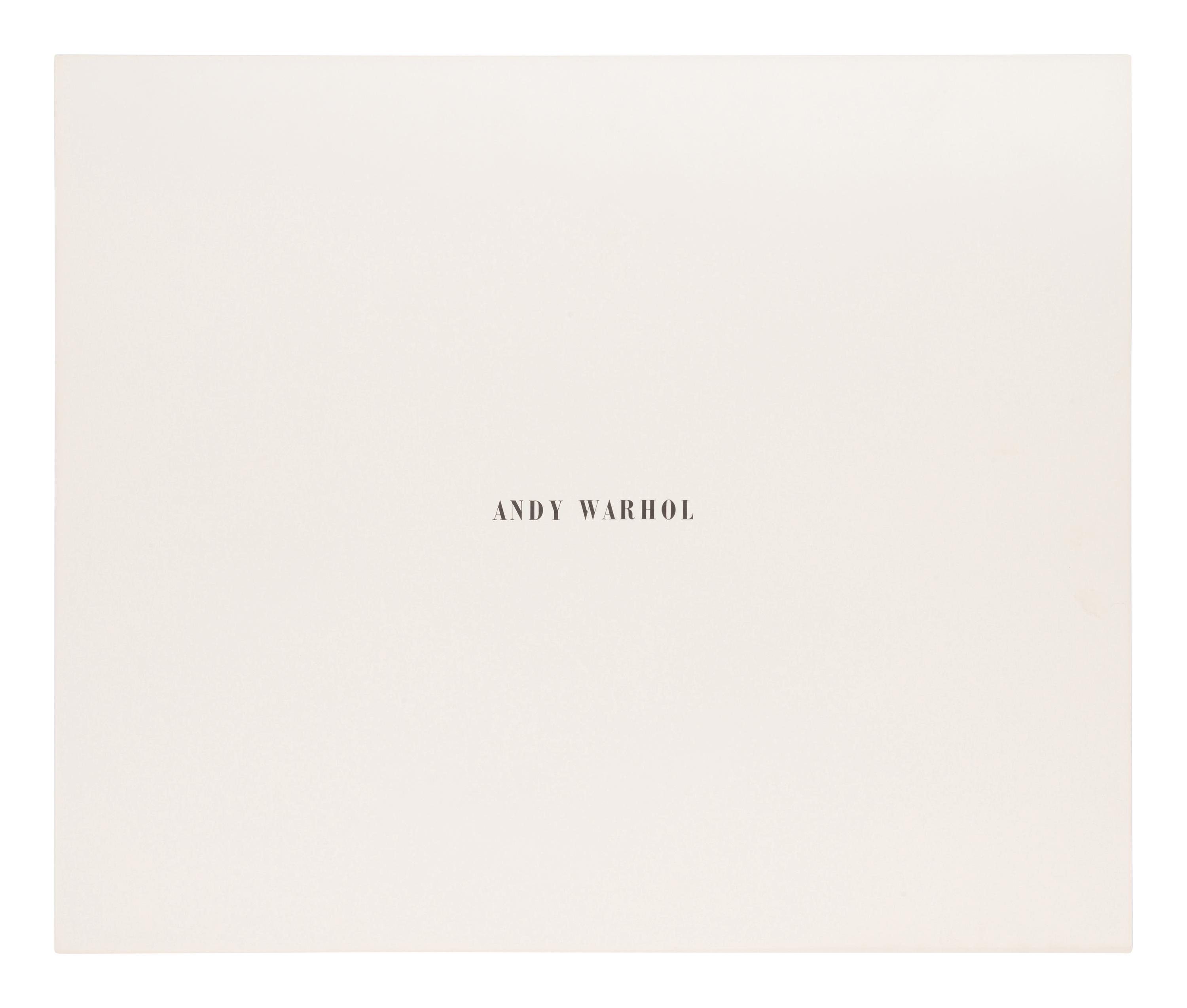 Birmingham Race Riot (from Ten Works x Ten Painters)