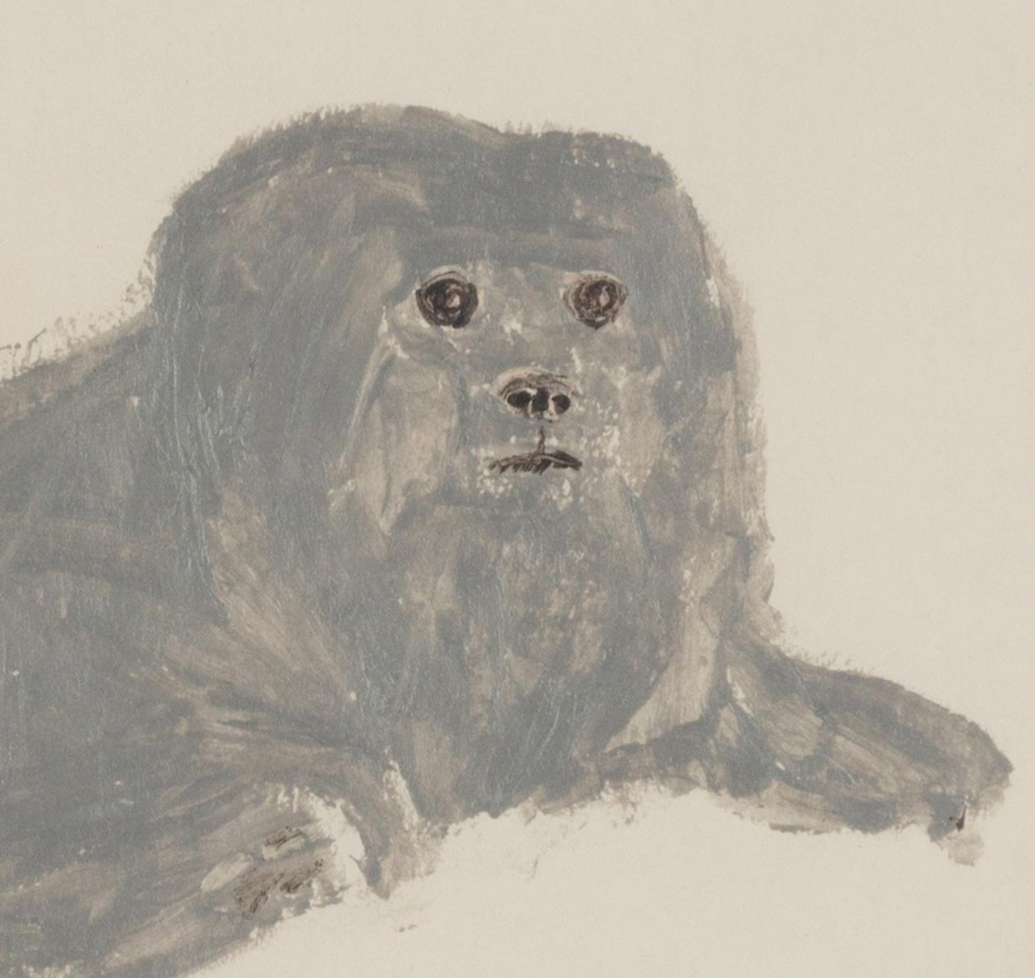 Portrait of Impy