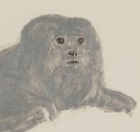 Portrait of Impy