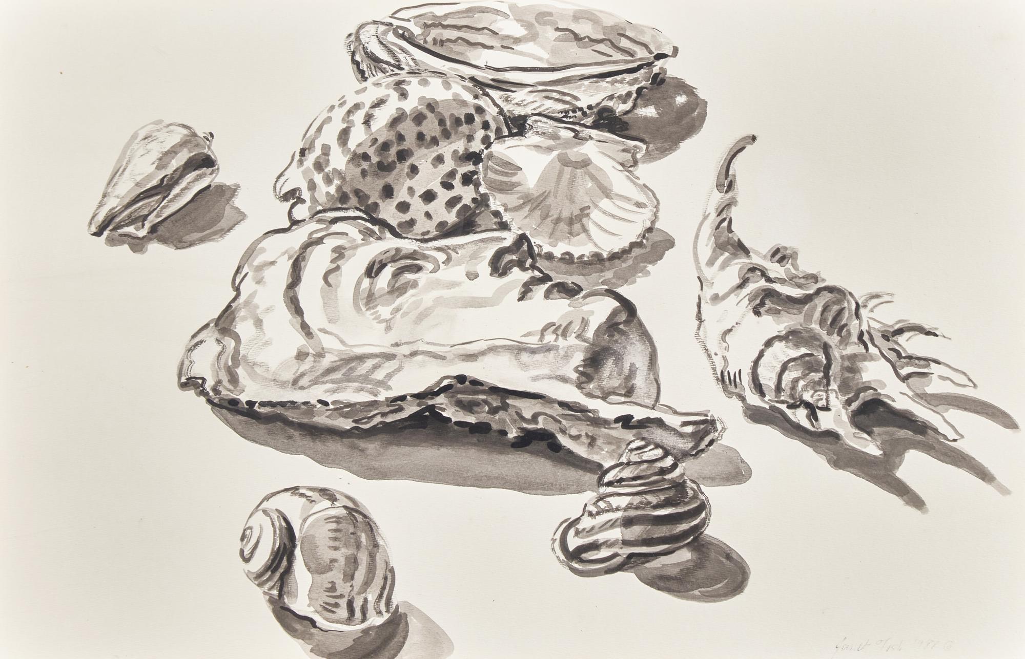 Seashells, 1987