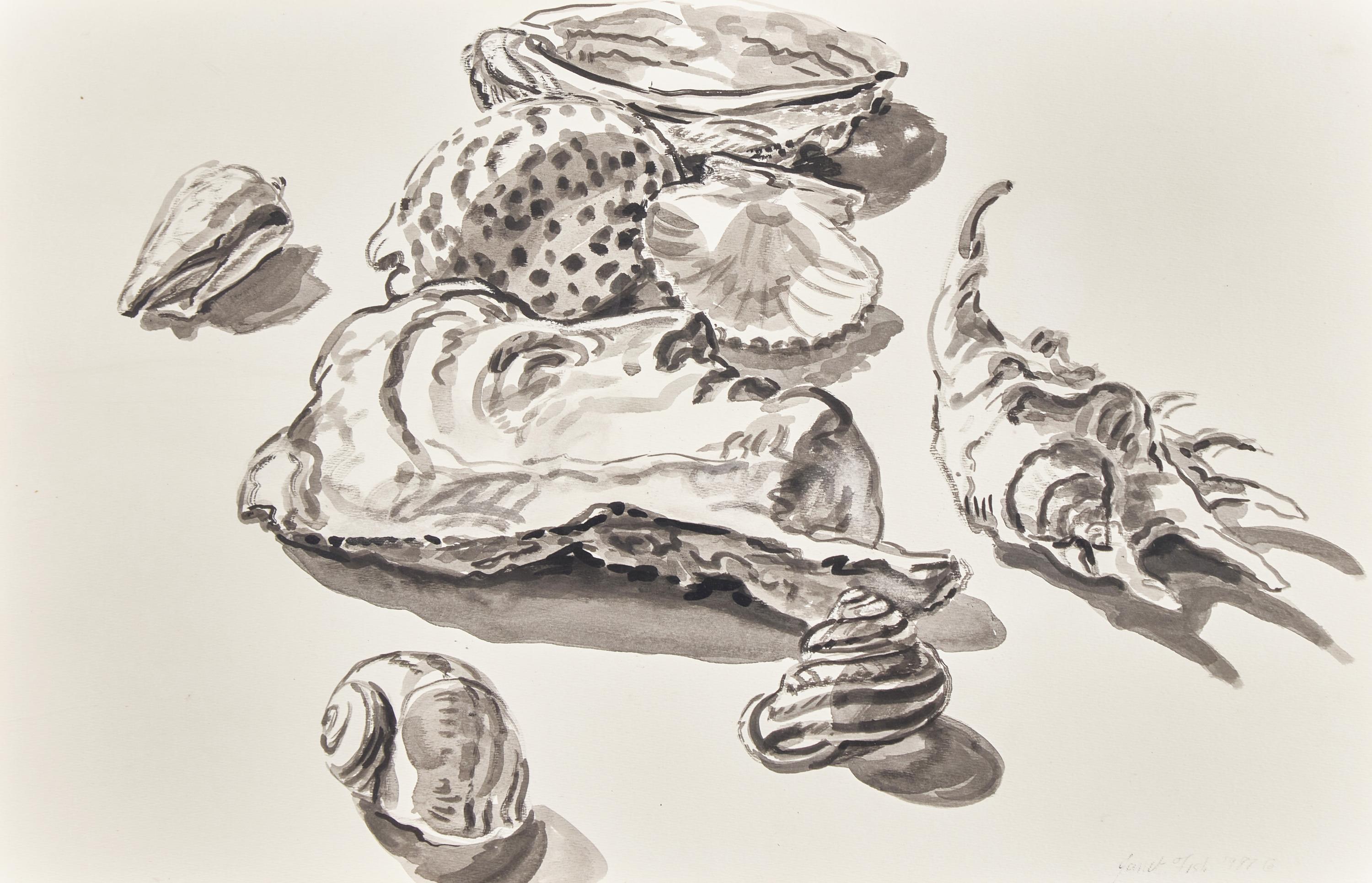 Seashells, 1987