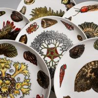 Six Conchiglie Dinner Plates, c. 1970 Fornasetti, Italy