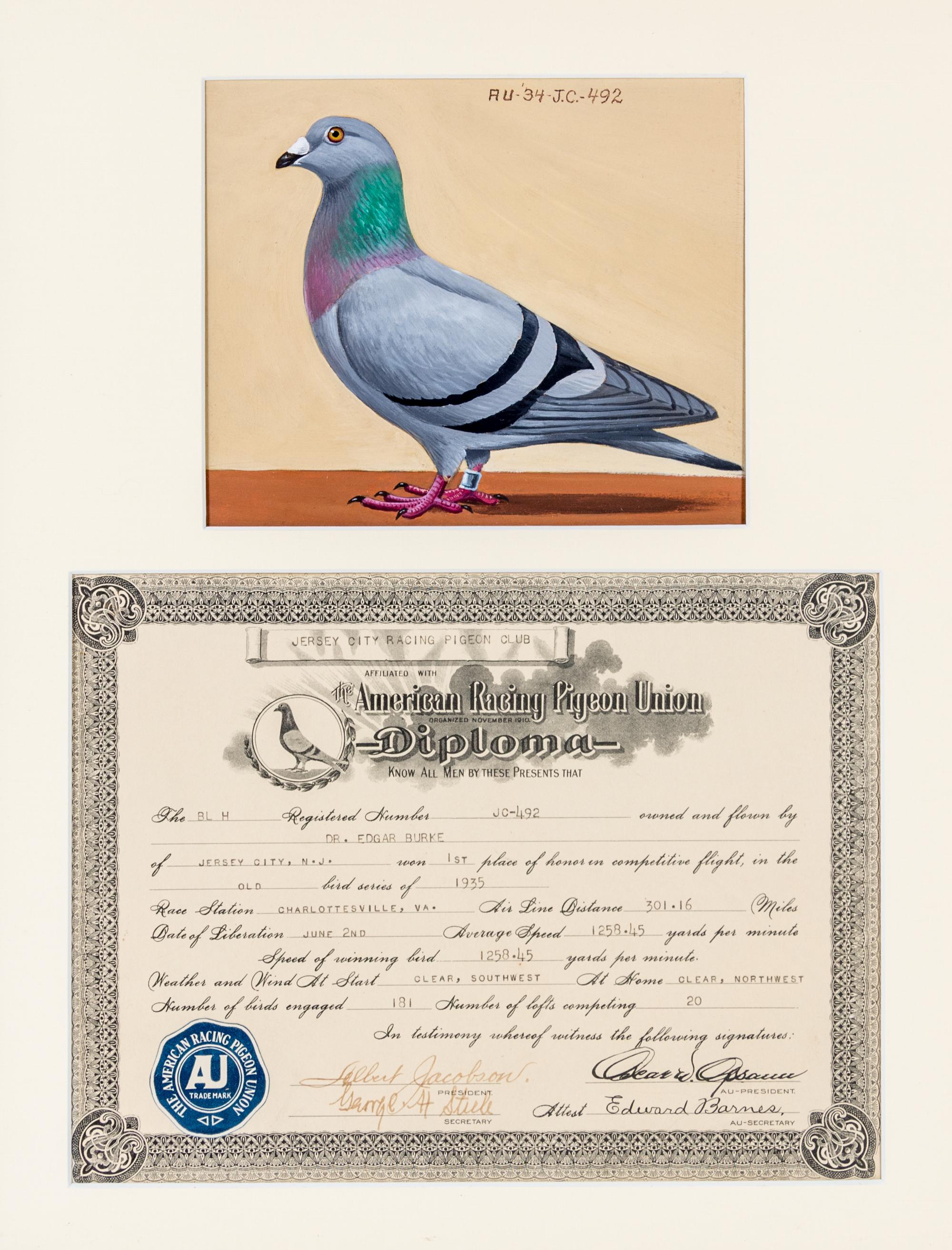 BURKE, DR. EDGAR. An archive of 12 gouache paintings of Dr. Burke's racing pigeons