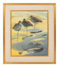 Willet Watch , 1999