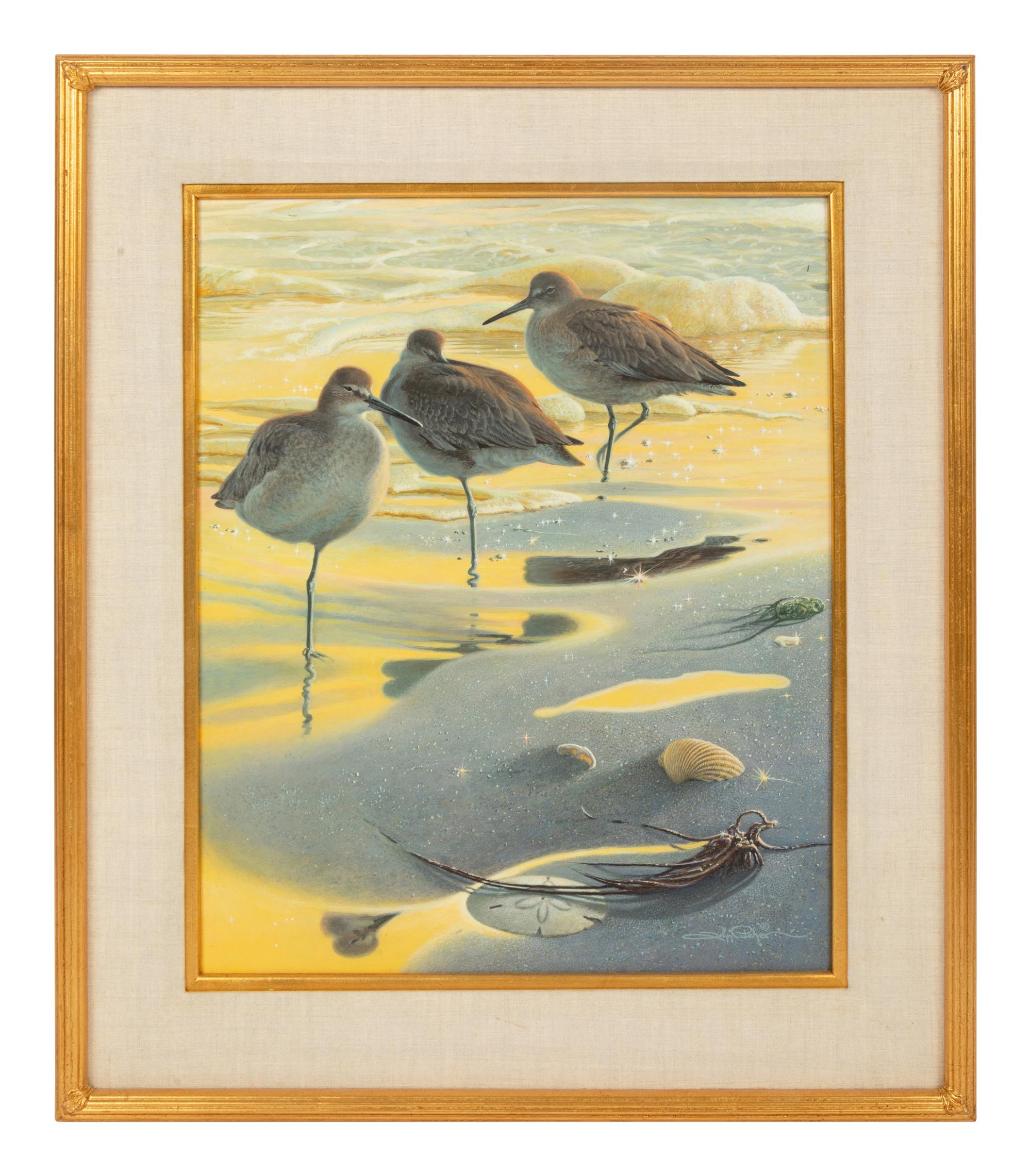 Willet Watch , 1999