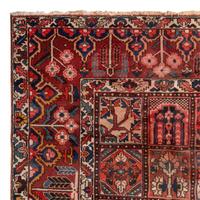 A Bakhtiari Carpet