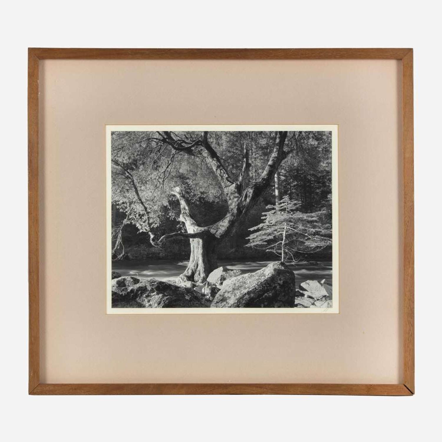 [Photography] Adams, Ansel Morning, Merced River Canyon, Yosemite National Park, California