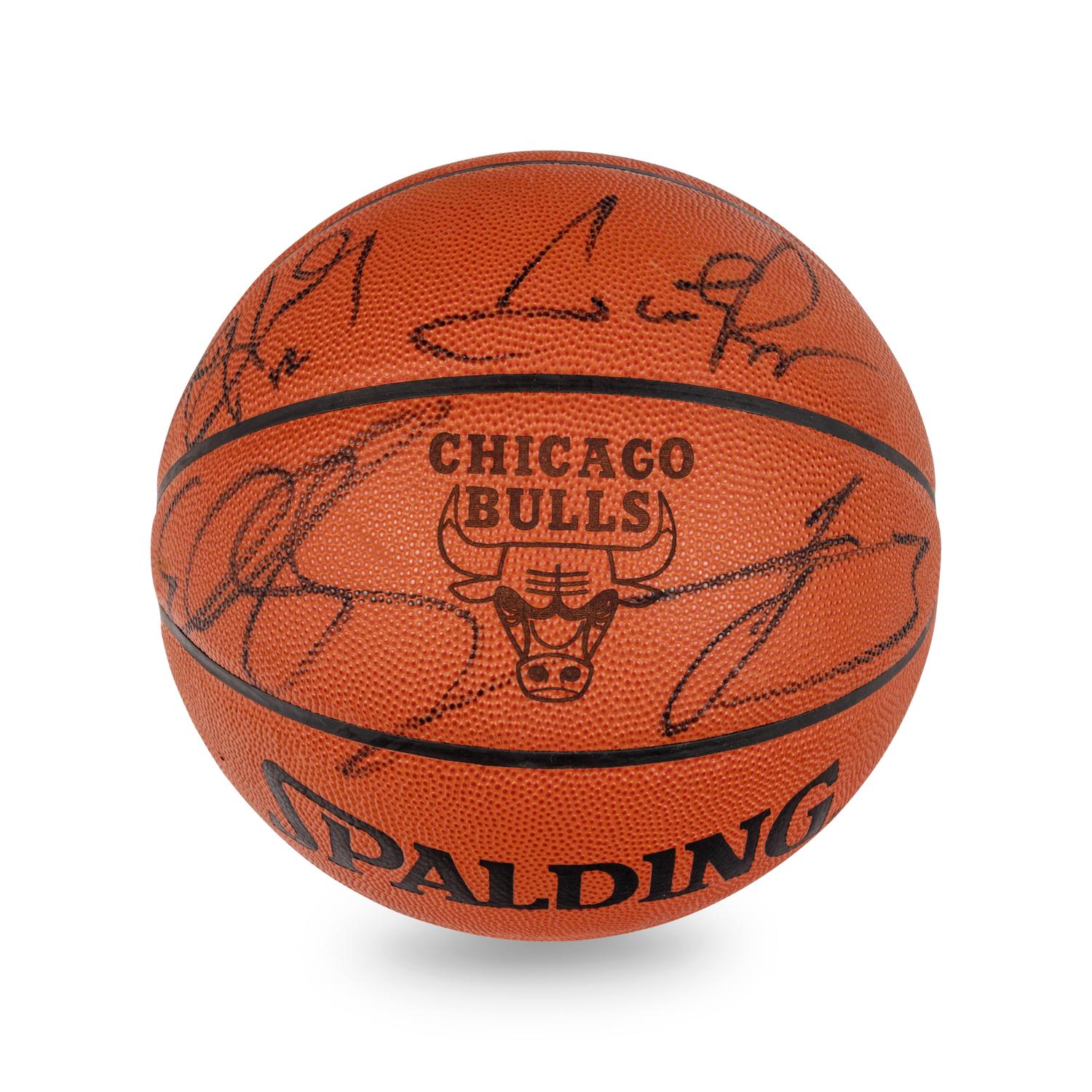 A 2003-04 Chicago Bulls Team Signed Autograph Basketball (Scottie Pippen's Last Season)