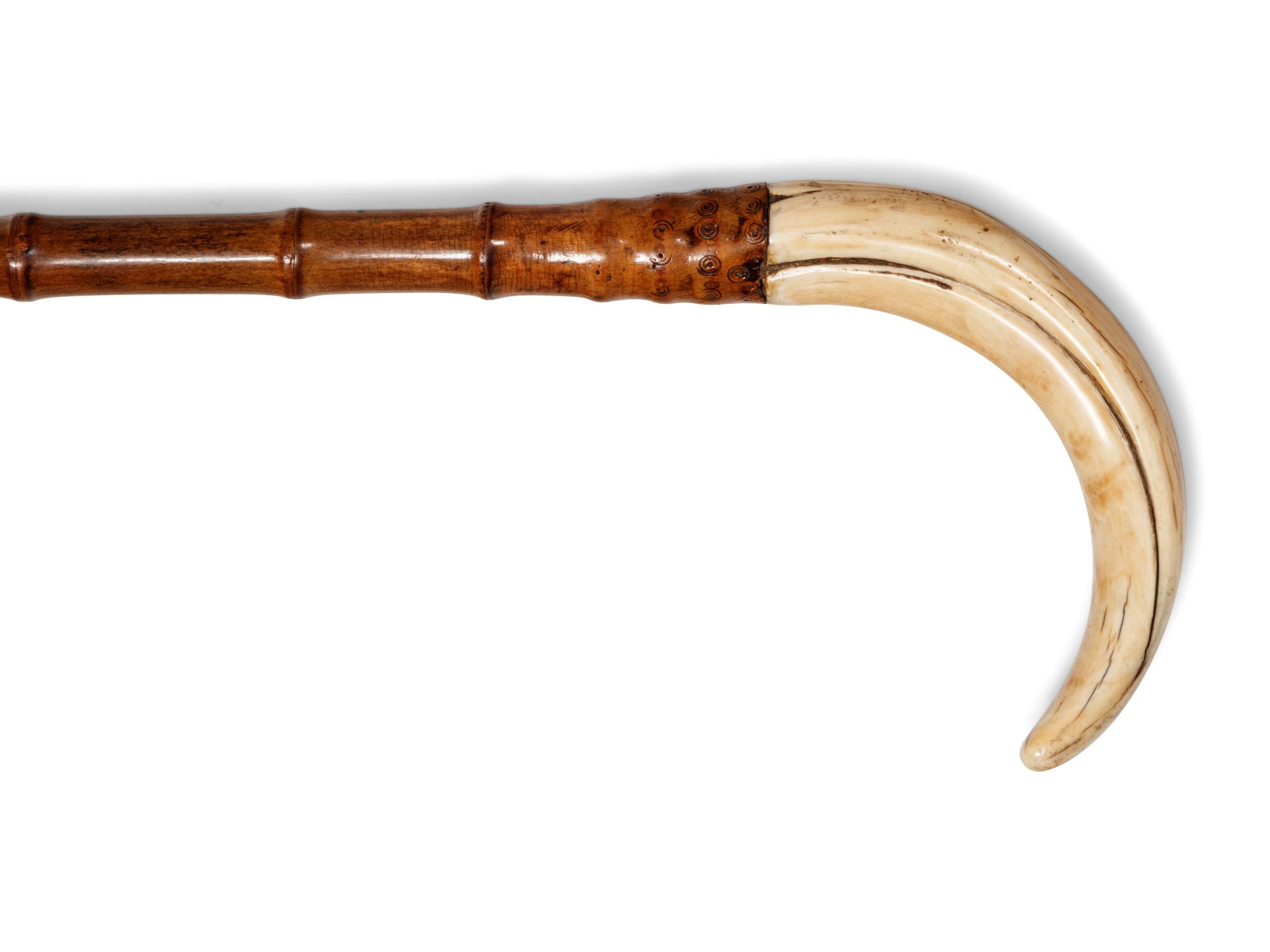 A Boar's Tusk Mounted Bamboo Walking Stick