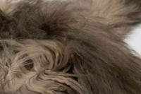 Two Fendi Mongolian Lamb Fur Stoles