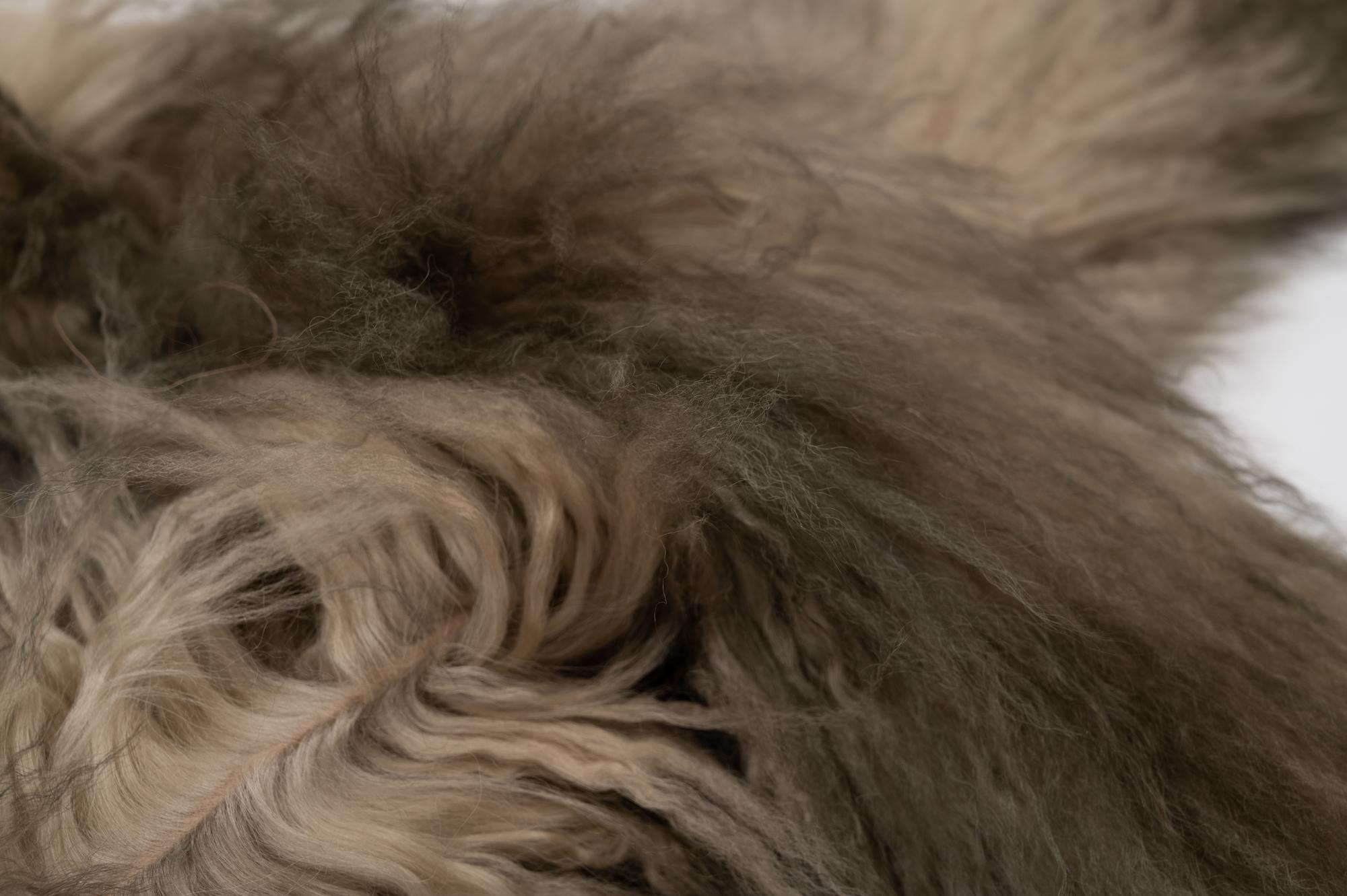 Two Fendi Mongolian Lamb Fur Stoles