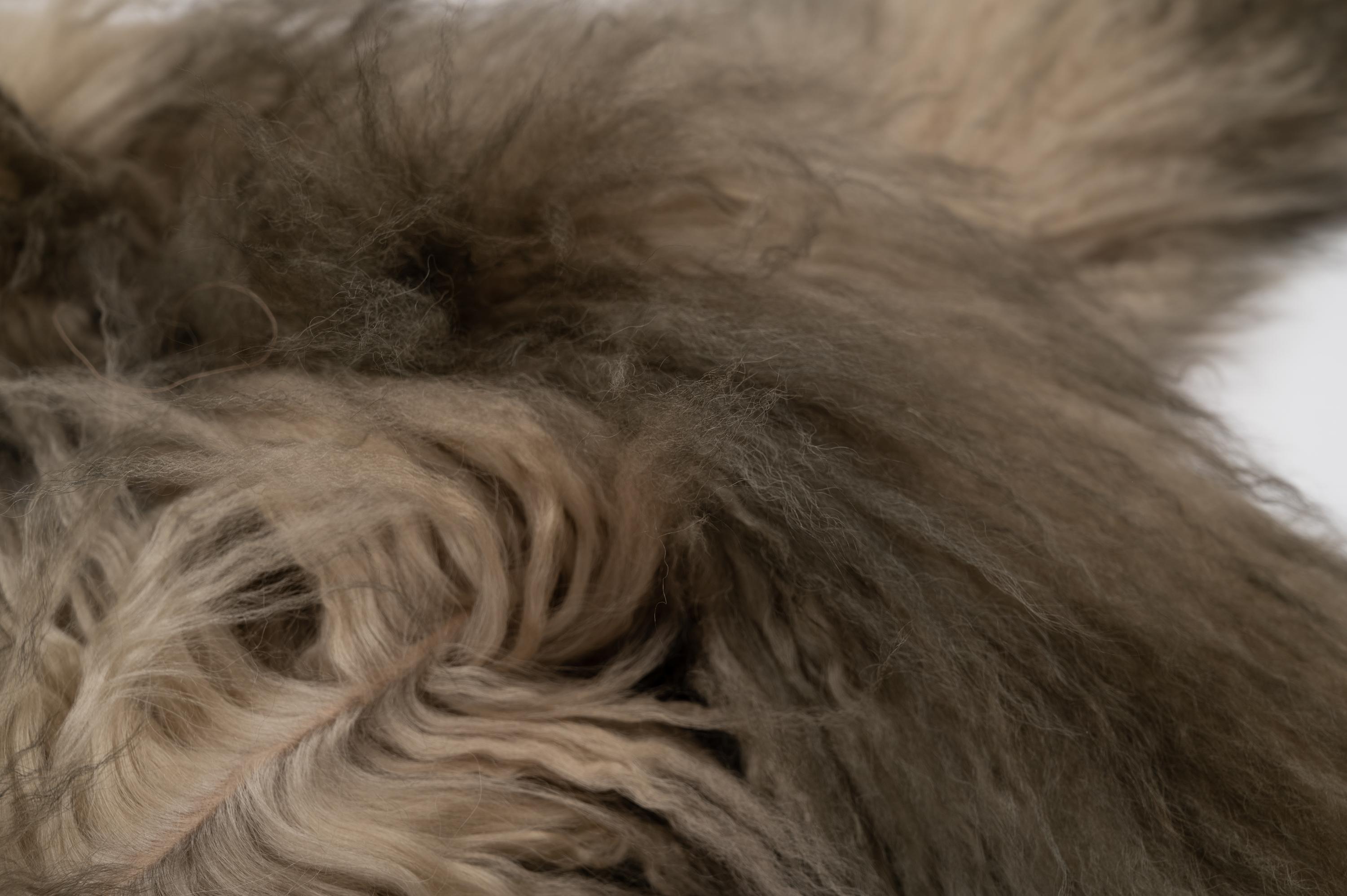 Two Fendi Mongolian Lamb Fur Stoles