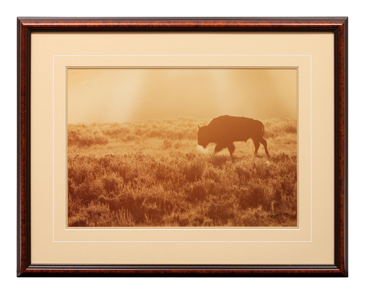 A Summer Morning- Yellowstone , edition 79/950