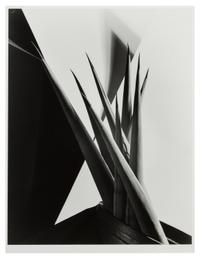 Imogen Cunningham, (American, 1883-1976), Agave Design 1