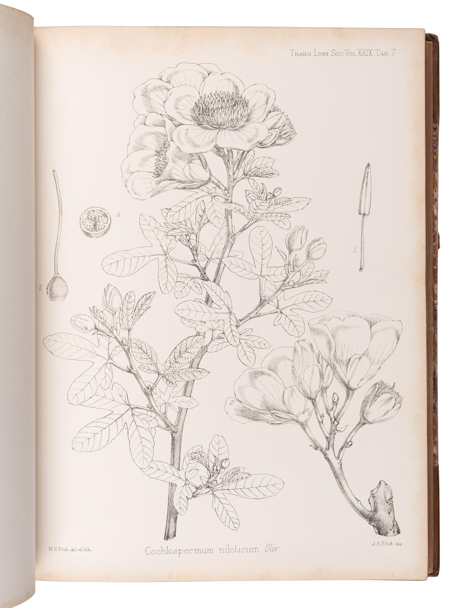 [EXPLORATION -- AFRICA]. PEKE, John Hanning (1827-1864), James Augustus GRANT (1827-1892), and Daniel OLIVER, editor (1830-1916). Botany of the Speke and Grant Expedition . London: Taylor and Francis, 1872.