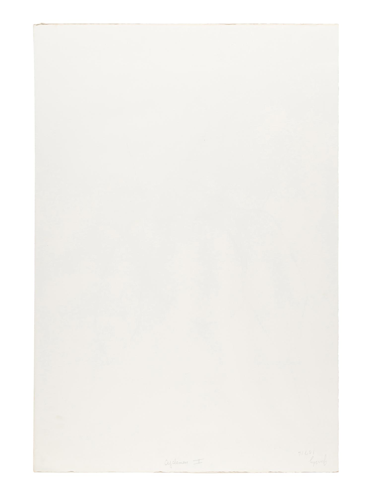 Cyclamen I ( from Suite of Plant Lithographs ), 1964-1965 (published 1966)
