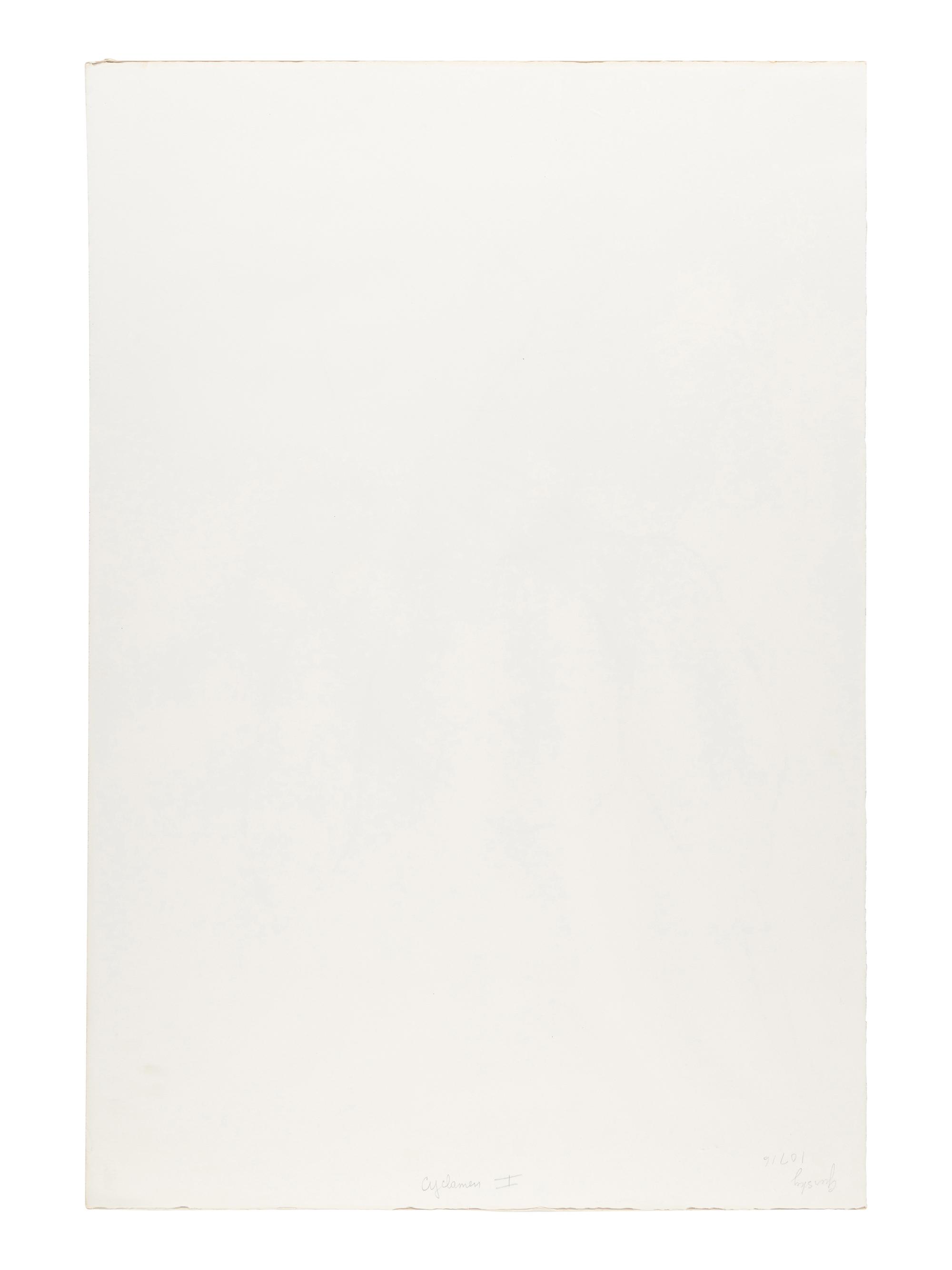 Cyclamen I ( from Suite of Plant Lithographs ), 1964-1965 (published 1966)