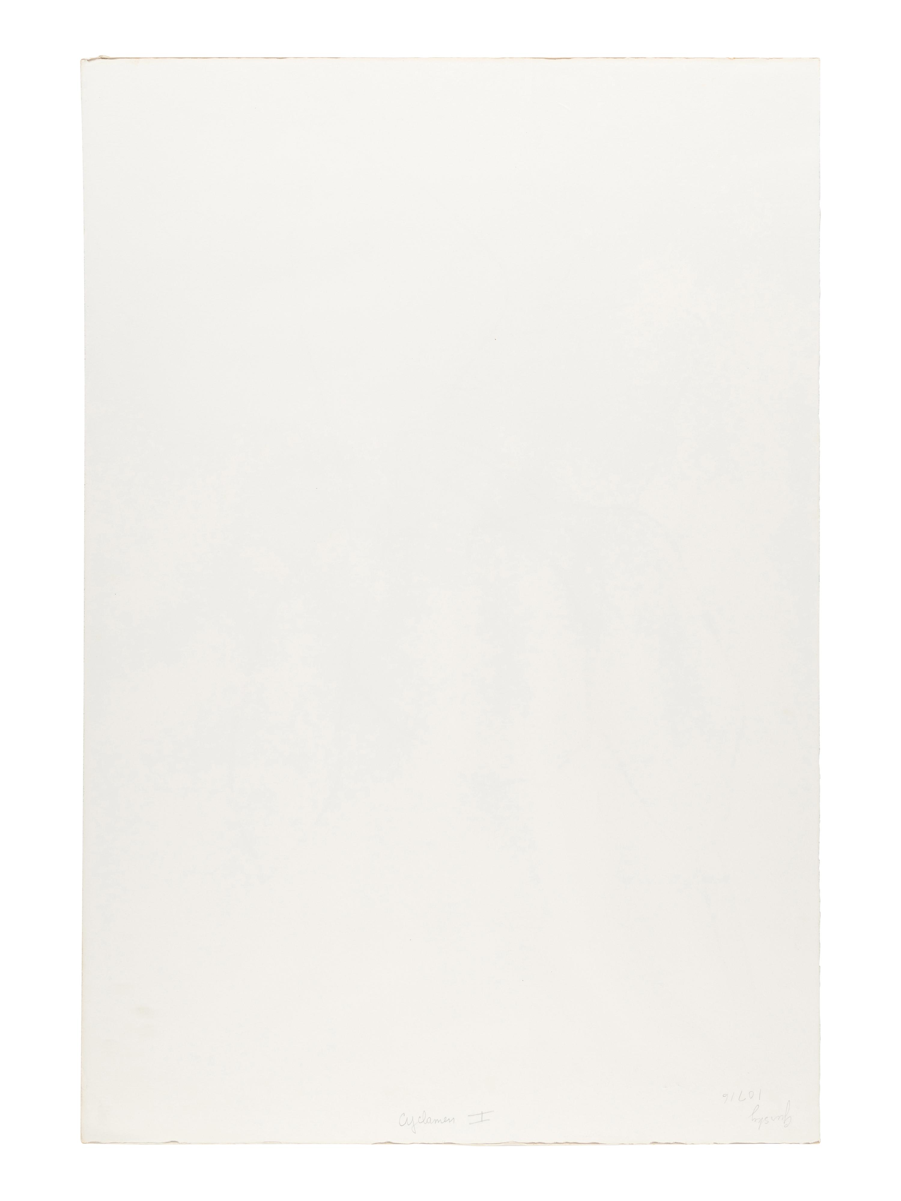 Cyclamen I ( from Suite of Plant Lithographs ), 1964-1965 (published 1966)
