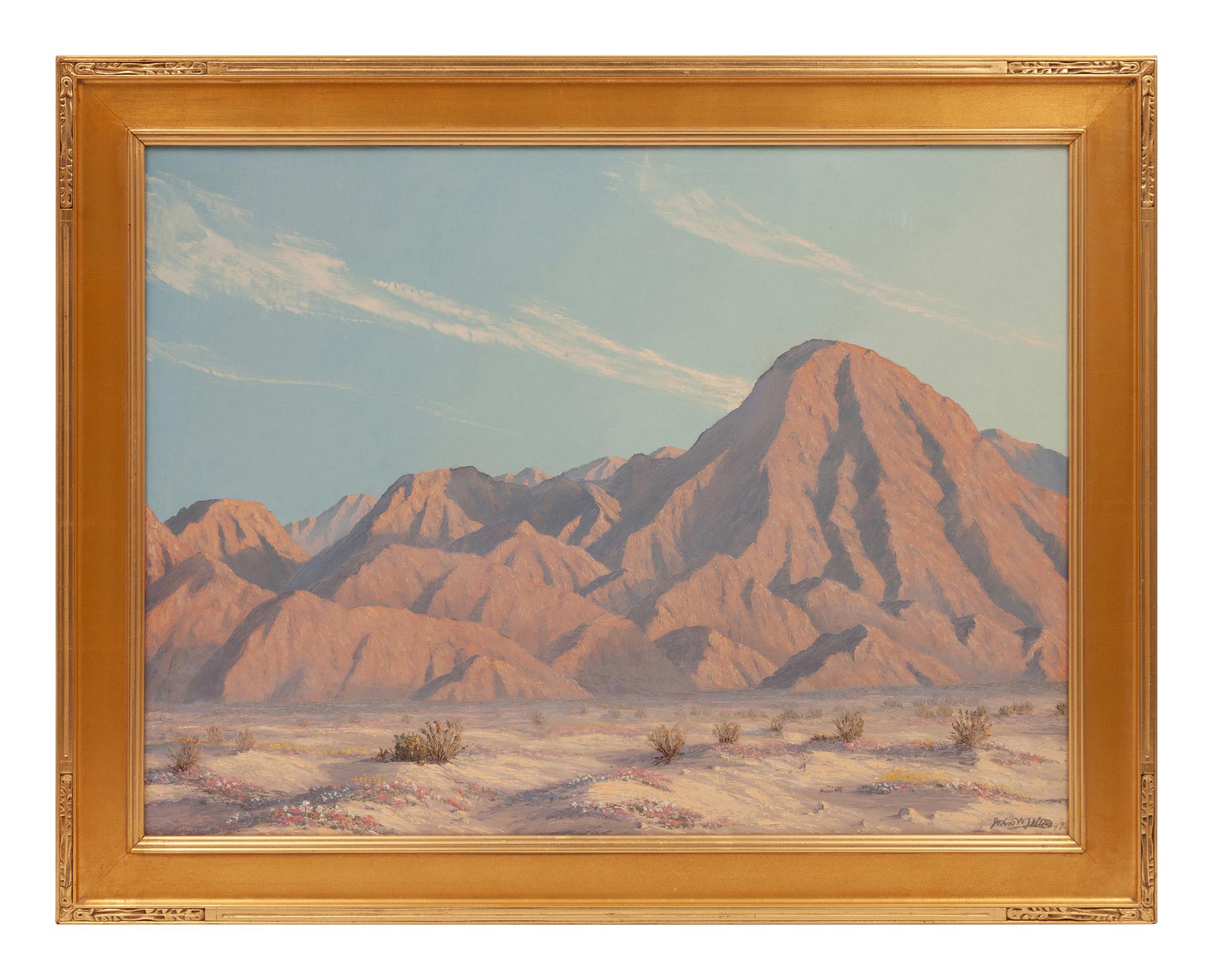 A Touch of Spring - Indio Mountain