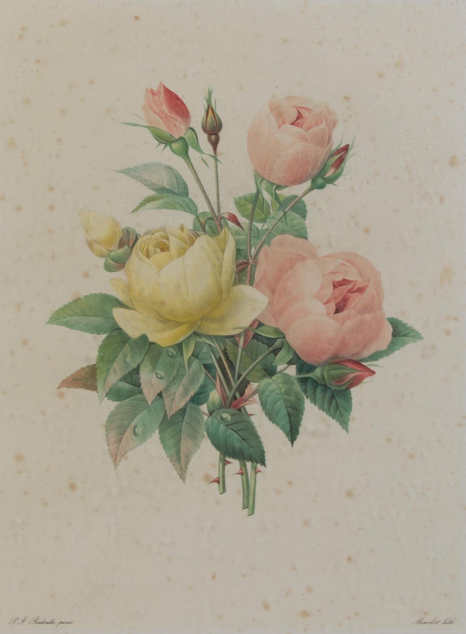 Four French Handcolored Botanical Engravings, Pierre Joseph Redoute (1759-1840), Height of first 13 3/4 x 10 1/4 inches (visible).