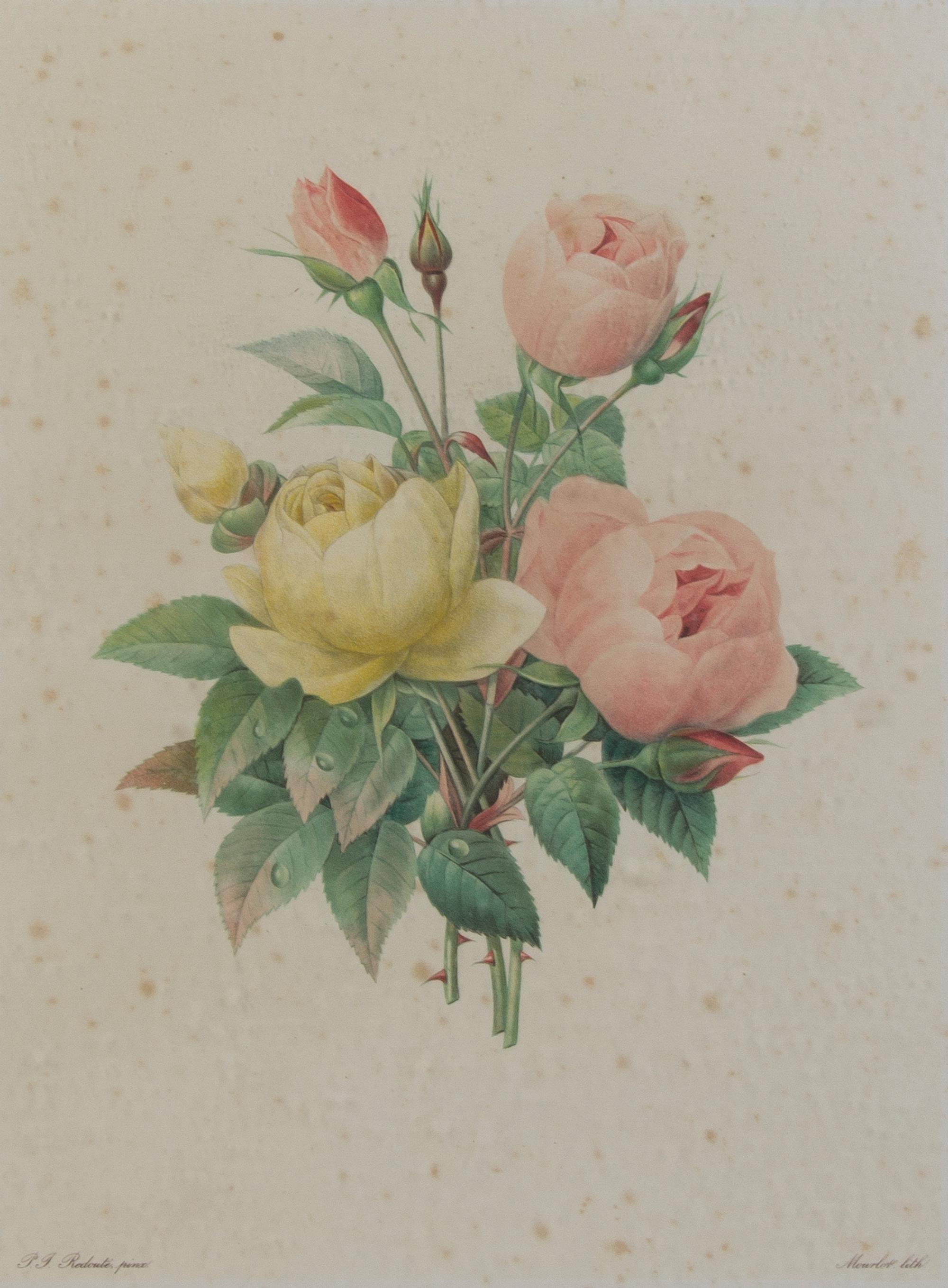 Four French Handcolored Botanical Engravings, Pierre Joseph Redoute (1759-1840), Height of first 13 3/4 x 10 1/4 inches (visible).