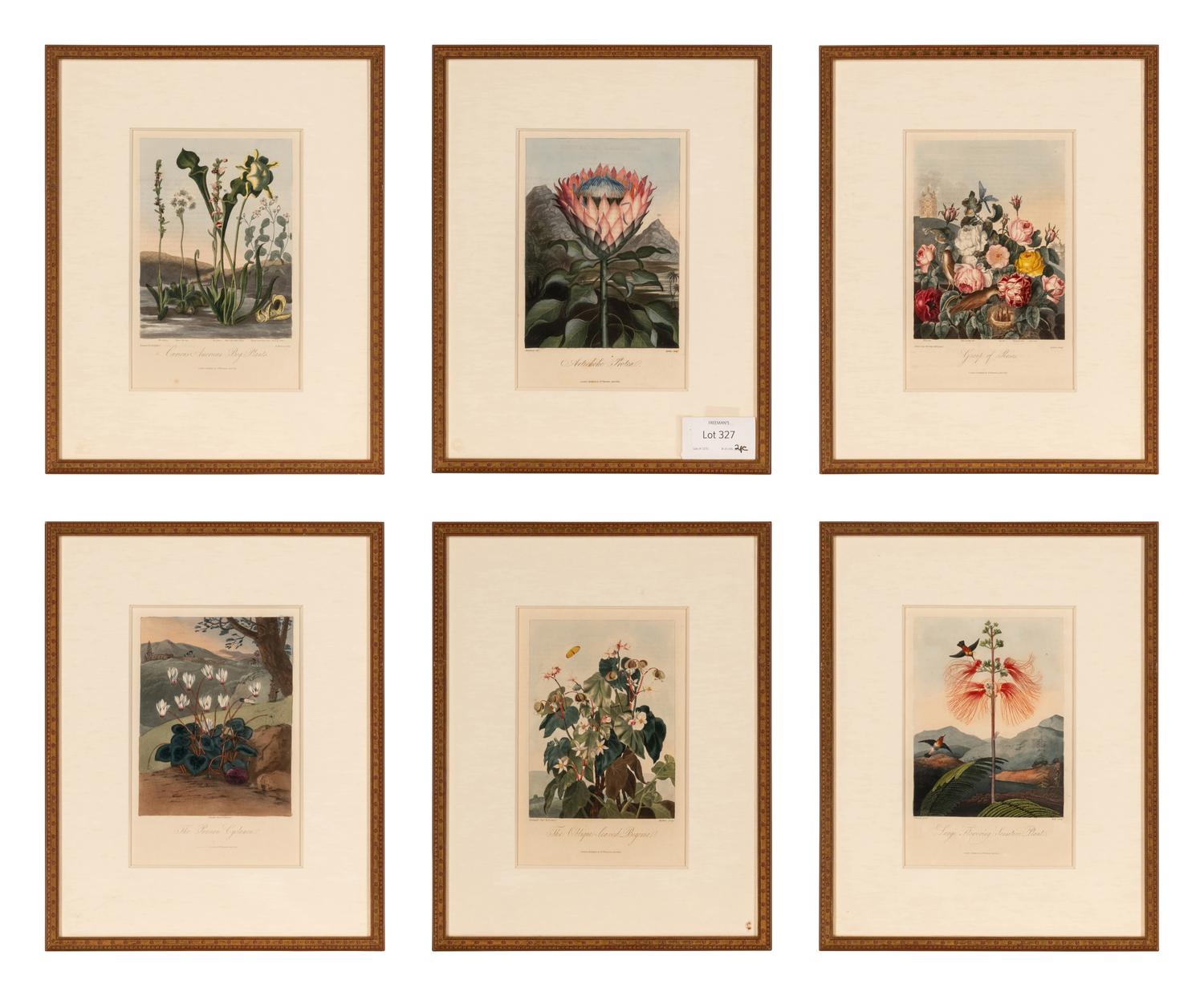 [NATURAL HISTORY]. THORNTON, Robert John (1768-1837). A group of 6 botanical plates from Thornton's 1812 quarto edition Temple of Flora . [London: for the author, 1812].