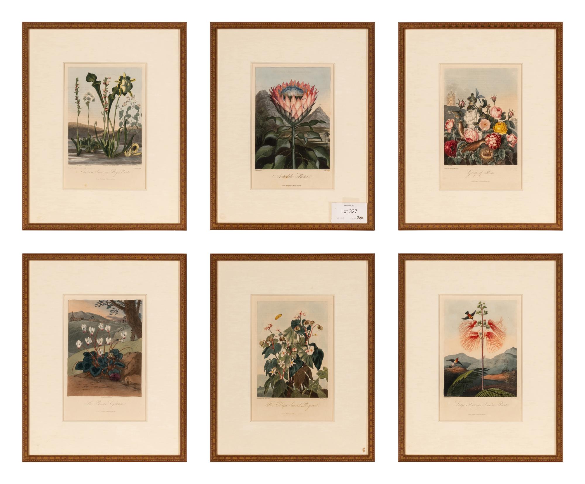 [NATURAL HISTORY]. THORNTON, Robert John (1768-1837). A group of 6 botanical plates from Thornton's 1812 quarto edition Temple of Flora . [London: for the author, 1812].