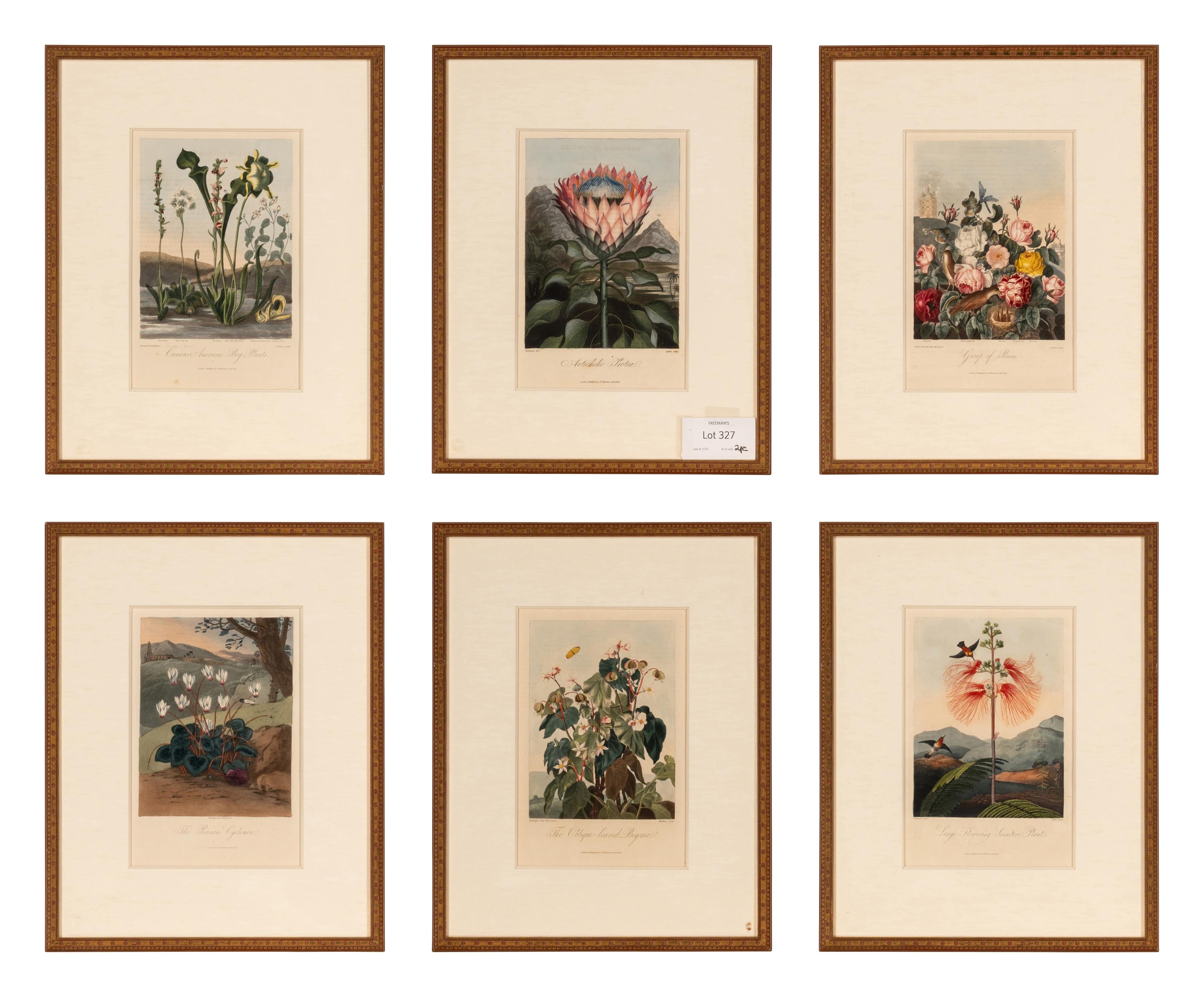[NATURAL HISTORY]. THORNTON, Robert John (1768-1837). A group of 6 botanical plates from Thornton's 1812 quarto edition Temple of Flora . [London: for the author, 1812].